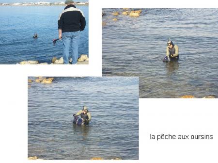 le pecheur d'oursins