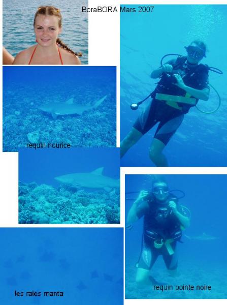 plongée à Bora bora